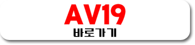 AV19 바로가기