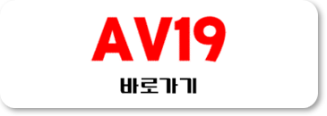 AV19 바로가기 클릭하세요